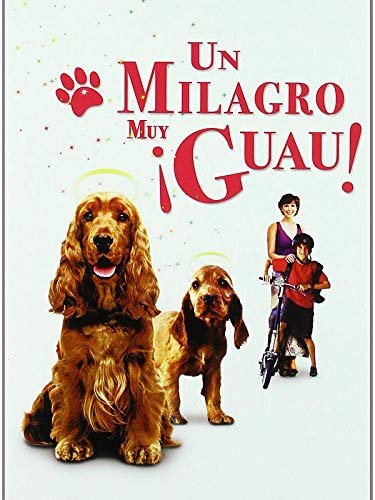 Un milagro muy guau