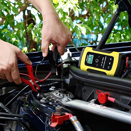 URAQT Cargador Baterias Coche, Mantenimiento Automático Inteligente 6A 12V con Múltiples Protecciones para Coche Moto ATV RV Barco