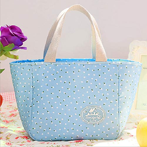 URIBAKY * Bolsa De Almuerzo IsotéRmica Nevera para Alimentos Frutas, Portador De Alimentos con Forro De PláStico Aislamiento TéRmico, Gran Refrigerador para Playa, Picnic, Camping, Barbacoa