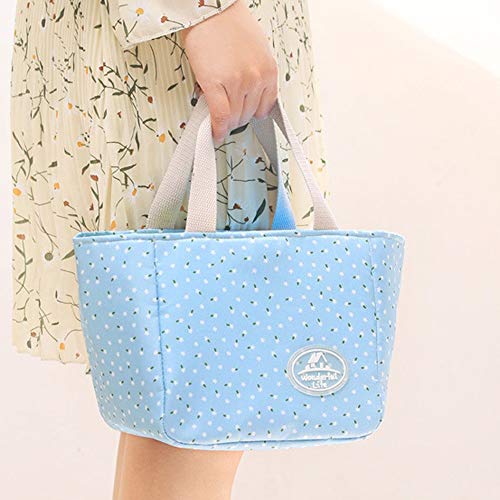 URIBAKY * Bolsa De Almuerzo IsotéRmica Nevera para Alimentos Frutas, Portador De Alimentos con Forro De PláStico Aislamiento TéRmico, Gran Refrigerador para Playa, Picnic, Camping, Barbacoa