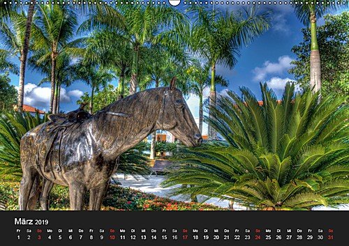 Urlaub in der Dominikanischen Republik (Wandkalender 2019 DIN A2 quer): Relaxen in der Karibik (Monatskalender, 14 Seiten )