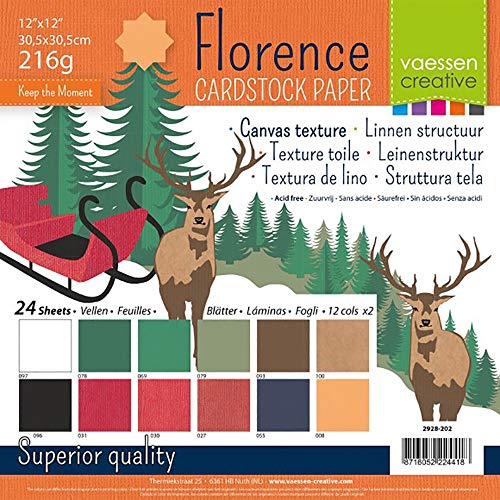 Vaessen Creative Cartulina Florence Multipack Navidad, 216 Gramos, para Scrapbooking, Creación de Tarjetas, Troquelado y Otras Manualidades con Papel