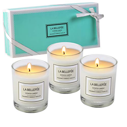 Vela perfumada La Bellefée, paquete de regalo, vela votiva de cera de soja, perfecta para aniversario, cumpleaños, yoga, Navidad, madre, padre, día de San Valentín, 3 paquetes