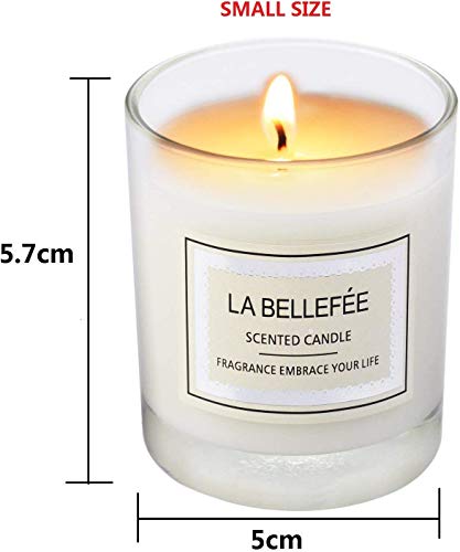 Vela perfumada La Bellefée, paquete de regalo, vela votiva de cera de soja, perfecta para aniversario, cumpleaños, yoga, Navidad, madre, padre, día de San Valentín, 3 paquetes