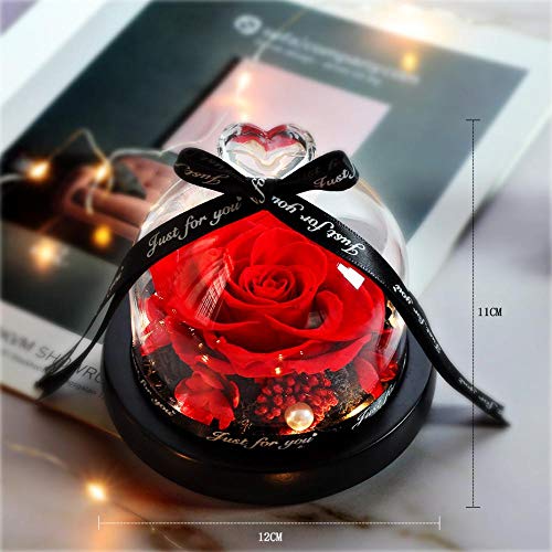 VFJLR 24 Estilo Rose in Glass Dome Rose Romántico Día de la Madre Regalos de San Valentín 07