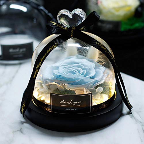 VFJLR 24 Estilo Rose in Glass Dome Rose Romántico Día de la Madre Regalos de San Valentín 07