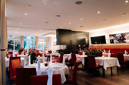 Viaje – 4 días Suiza * Park Hotel Winterthur entre Zürich y Bodensee Incluye 3 marchas noche menü – cupón de hotel corto viaje viaje regalo