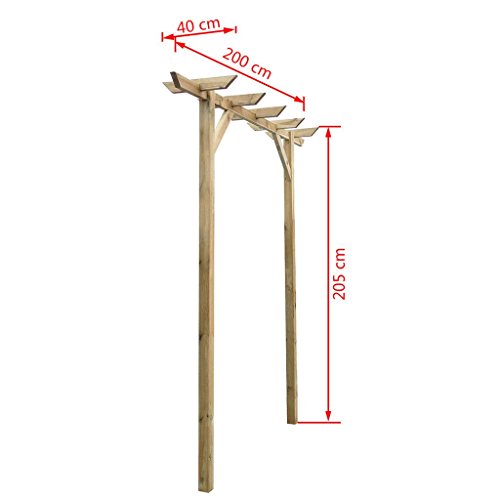 vidaXL Arco de Jardin de Rosas y Enredaderas Enrejado de Madera 200x40x205cm