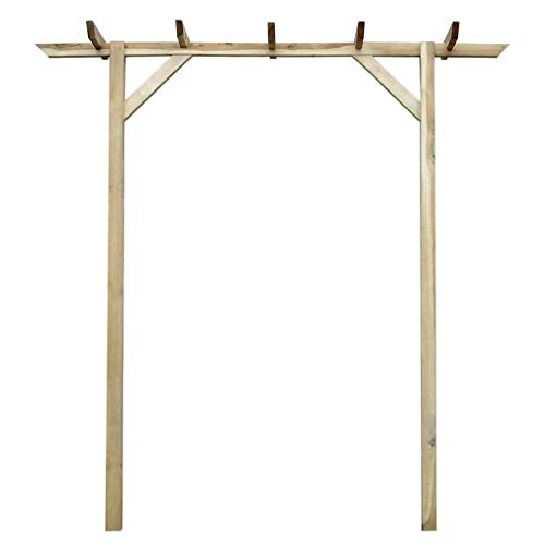 vidaXL Arco de Jardin de Rosas y Enredaderas Enrejado de Madera 200x40x205cm