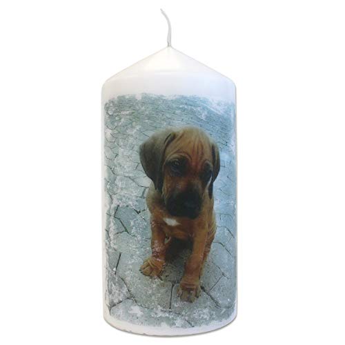 Viva Decor - Cera de Transferencia de Velas, Material sintético, Color Blanco, 7 x 7 x 8 cm