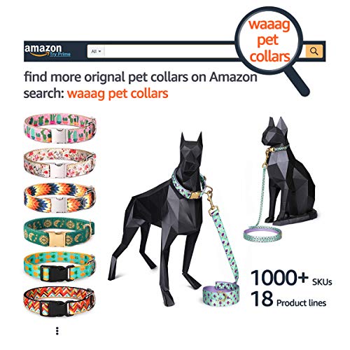 Waaag Collar para mascotas de color dorado con estrellas y lunas, de liberación rápida, brilla en la oscuridad (tamaño estándar, cuello de 9 a 38 cm, color rosa coral)
