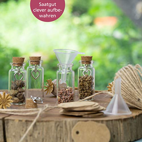 WeddingTree 60 x 11ml Tubos de Ensayo con Tapón de Corcho para Bodas - Set de Frascos con Corcho y Llavero de Corazón Invitados Bodas, Decoración, Frasco para Especias