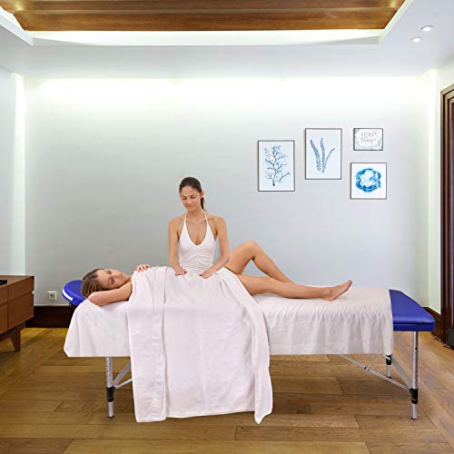 Wellhome Mesa de Masaje de 3 Secciones Aluminio Camilla Cama Portatil Plegable Ligera Camillas Masajes de Profesional Altura Ajustable con Reposacabezas, Apoyabrazos, Bolsa de transporte (Azul)