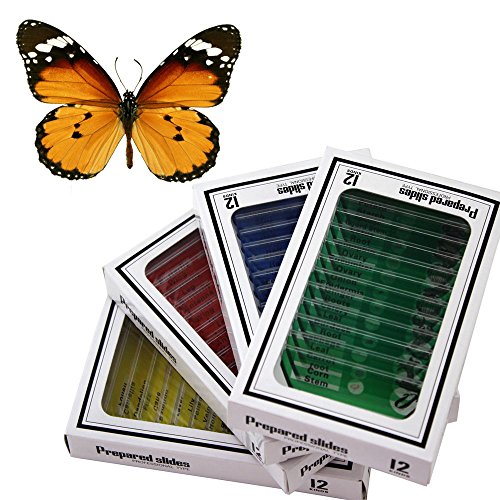 WhizKidsLab 48pzas Juego Muestras Preparadas Microscopio Animales Insectos Plantas Flores Plástico 1pza Espécimen Mariposa Real Niños Estudiantes Ciencia Juego Educativo