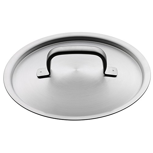 WMF Gourmet Plus Interior para cocción al Vapor, Acero Inoxidable Mate, 20 cm