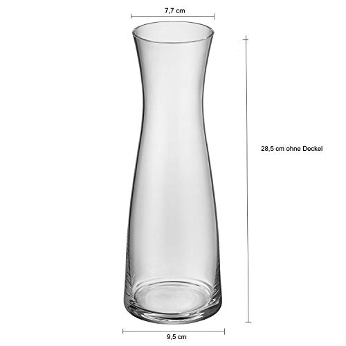 WMF - Repuesto botella de cristal de 1,0l 06.1770/73, colección Basic