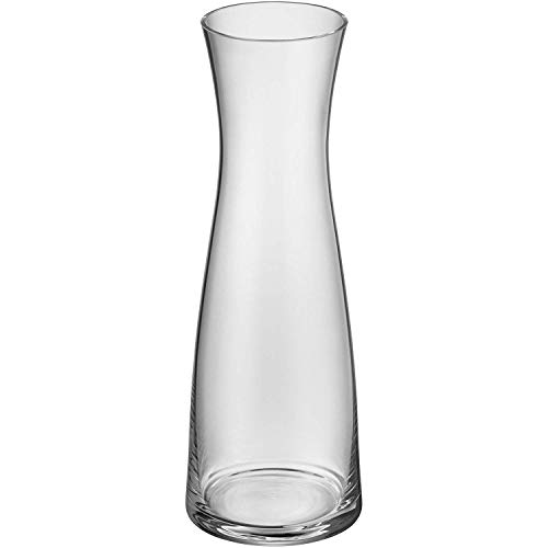 WMF - Repuesto botella de cristal de 1,0l 06.1770/73, colección Basic