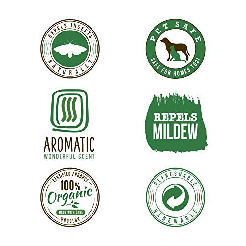woodluv Eco-Friendly 12 Anillos de Cedro orgánico Natural Repelente de polillas con protección contra olores (sin químicos)