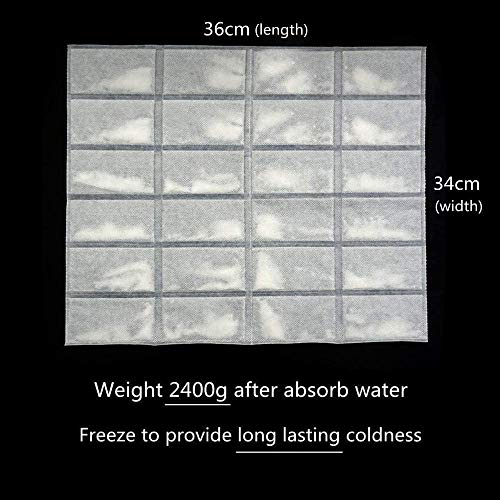 WORLD-BIO Bolsa de Hielo Absorbente Reutilizables avanzadas:Flexibles, no viscosas. Refrigerador Extremo para IR de excursión Camping Outdoor Food e (24 CÉLULAS 5 Hojas)