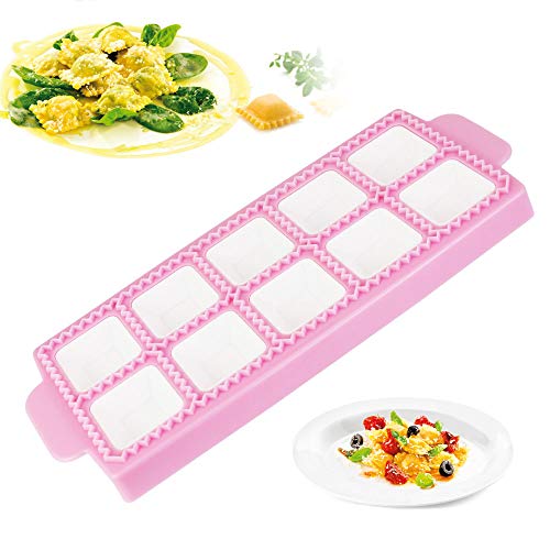 XAVSWRDE Molde para Pastas de Plástico de Grado Alimenticio Molde para Raviolis 26,5*10,5*2cm de 10 Cuadrados Molde para Empanadillas Antiadherente Molde de Raviolis para Hacer Empanadillas Galletas
