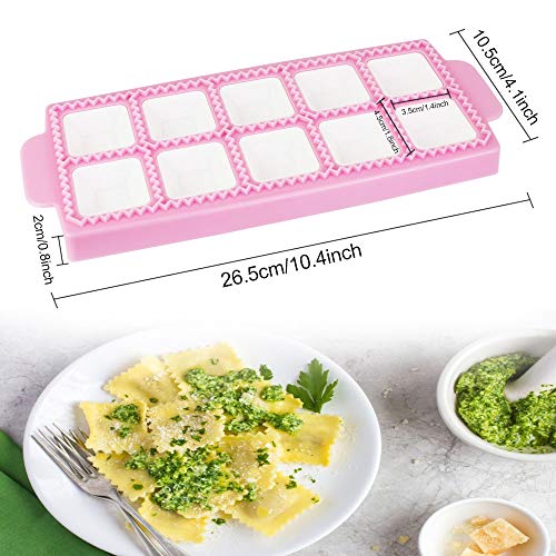 XAVSWRDE Molde para Pastas de Plástico de Grado Alimenticio Molde para Raviolis 26,5*10,5*2cm de 10 Cuadrados Molde para Empanadillas Antiadherente Molde de Raviolis para Hacer Empanadillas Galletas