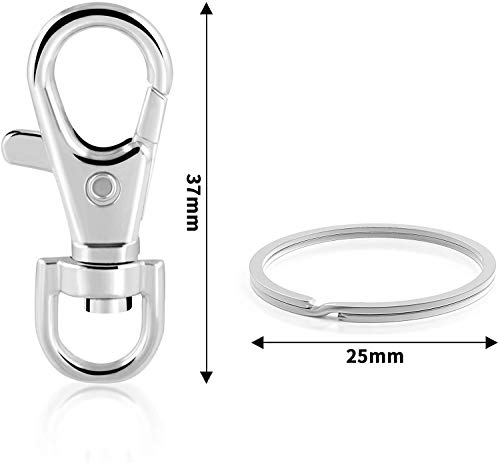 Xinmeng Llavero de Metal, Juego de 30 llaveros con Anillos de Acero Inoxidable, Anillo Llavero Cierres de Mosquetón, Utilizado para Llaves, Accesorios para Ganchos, Gemelos para Mascotas