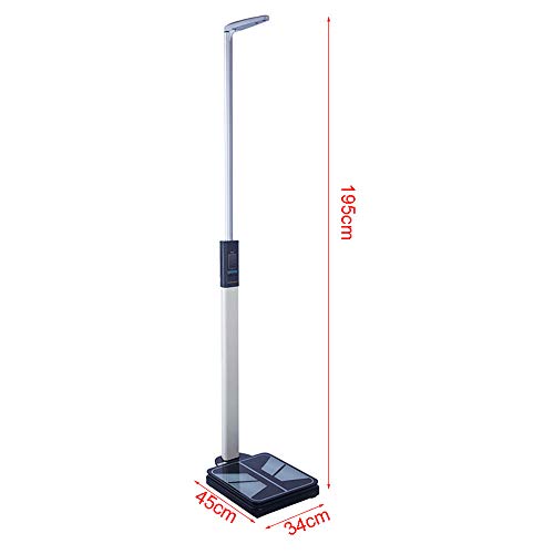 XYL Básculas electrónicas de Salud, báscula de Altura y Peso, medidor ultrasónico de Grasa Corporal, Pantalla Digital LED de Alta definición, medición precisa 110-195 cm