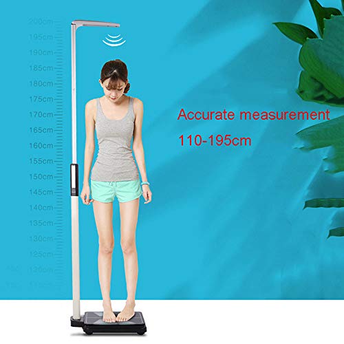 XYL Básculas electrónicas de Salud, báscula de Altura y Peso, medidor ultrasónico de Grasa Corporal, Pantalla Digital LED de Alta definición, medición precisa 110-195 cm