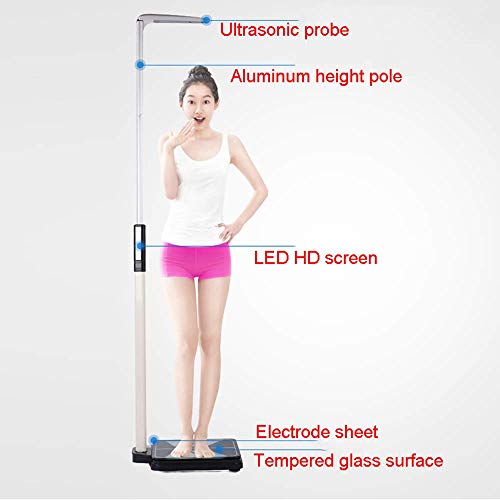XYL Básculas electrónicas de Salud, báscula de Altura y Peso, medidor ultrasónico de Grasa Corporal, Pantalla Digital LED de Alta definición, medición precisa 110-195 cm