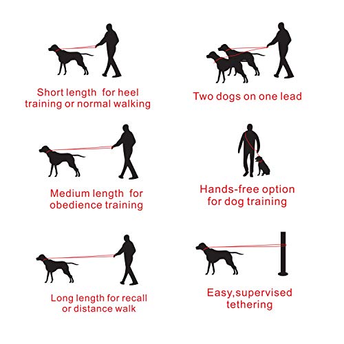 Yangbaga Correa para Perros Multiposición, Correa Perro adiestramiento Nylon Correa Doble, 4 Longitudes para Perro Pequeño Perro Mediano y Perro Grande, Negro（216cm）