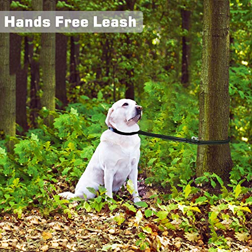 Yangbaga Correa para Perros Multiposición, Correa Perro adiestramiento Nylon Correa Doble, 4 Longitudes para Perro Pequeño Perro Mediano y Perro Grande, Negro（216cm）