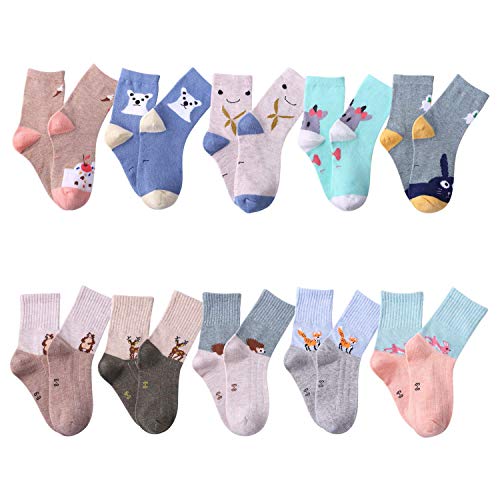 YANWANG 10 Pares de Calcetines para Niños Niñas Algodón Lindo 1-12 años(Erizo,M:3-5 Años)