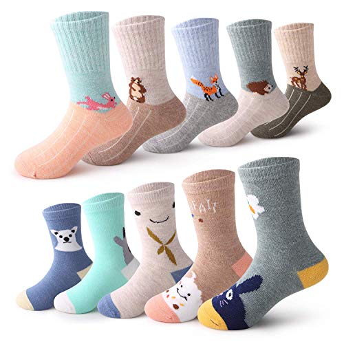 YANWANG 10 Pares de Calcetines para Niños Niñas Algodón Lindo 1-12 años(Erizo,M:3-5 Años)