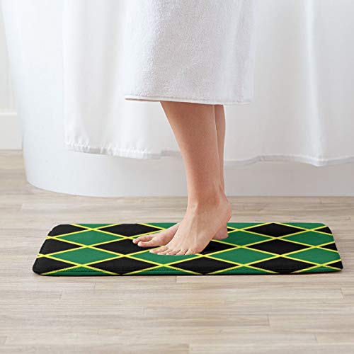 YAOMY - Alfombras de baño y Alfombrillas, diseño Vintage de Ciencias NZ pez limón y Antideslizante Absorbente, Alfombra de baño, Alfombra de Suelo de Cocina, 40 x 60 cm, 1 Color, 40 x 60 cm