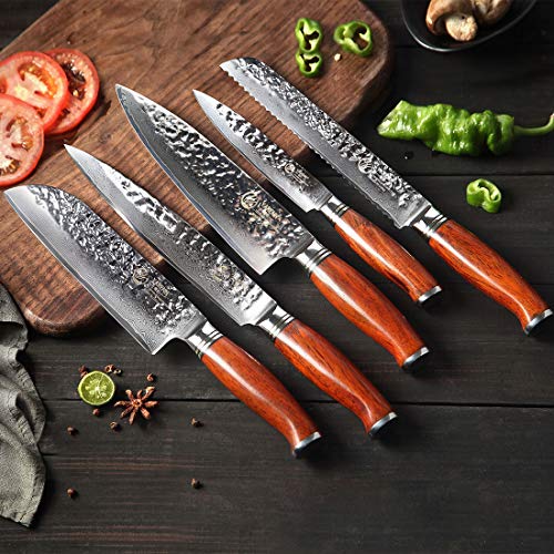 YARENH Set Cuchillos Cocina 5 Piezas,Juego de Cuchillos de Cocina Profesional de Acero Damasco Japones,Mango de Madera Dalbergia,Cuchillo de Chef Ultra Filoso HTT-Serie