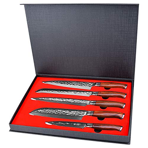 YARENH Set Cuchillos Cocina 5 Piezas,Juego de Cuchillos de Cocina Profesional de Acero Damasco Japones,Mango de Madera Dalbergia,Cuchillo de Chef Ultra Filoso HTT-Serie