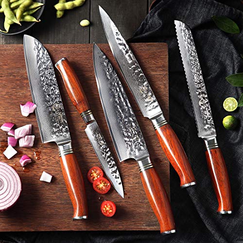 YARENH Set Cuchillos Cocina 5 Piezas,Juego de Cuchillos de Cocina Profesional de Acero Damasco Japones,Mango de Madera Dalbergia,Cuchillo de Chef Ultra Filoso HTT-Serie