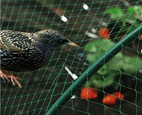 YHmall Malla antipájaros, 4m x 10m Red para Pájaros Estanque Multiusos Malla de Protección de PE para Frutas, Plantas, Verduras, Jardín (Verde, 1,5x1,5 cm Agujeros)