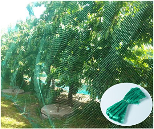 YHmall Malla antipájaros, 4m x 10m Red para Pájaros Estanque Multiusos Malla de Protección de PE para Frutas, Plantas, Verduras, Jardín (Verde, 1,5x1,5 cm Agujeros)
