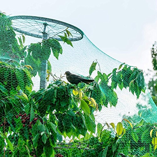 YHmall Malla antipájaros, 4m x 10m Red para Pájaros Estanque Multiusos Malla de Protección de PE para Frutas, Plantas, Verduras, Jardín (Verde, 1,5x1,5 cm Agujeros)
