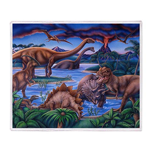 YISUMEI - Manta polar suave - Dinosaurios, manta apta para sofá o cama, algodón mixto, Color1, 150 x 200 cm