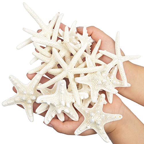 Yixuan 10PCS Estrellas de mar Estrella de mar Natural Estrella de mar Decoracion Molde Estrella mar decoración de Bodas/Fiesta temática en la Playa/Decoraciones para el hogar/Bricolaje
