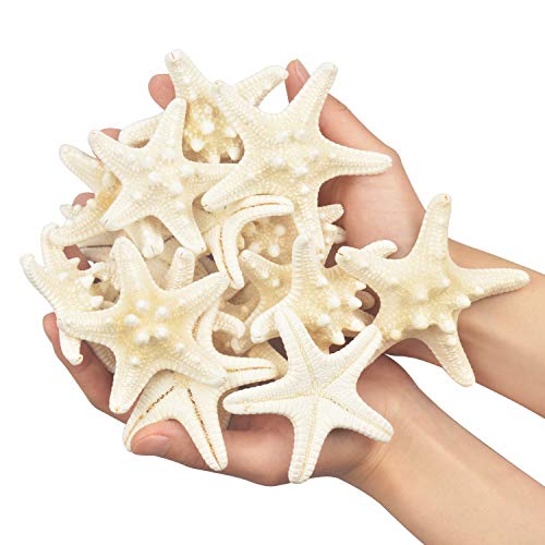 Yixuan 20PCS Estrellas de mar Estrella de mar Natural Estrella de mar Decoracion Molde Estrella mar decoración de Bodas/Fiesta temática en la Playa/Decoraciones para el hogar/Bricolaje