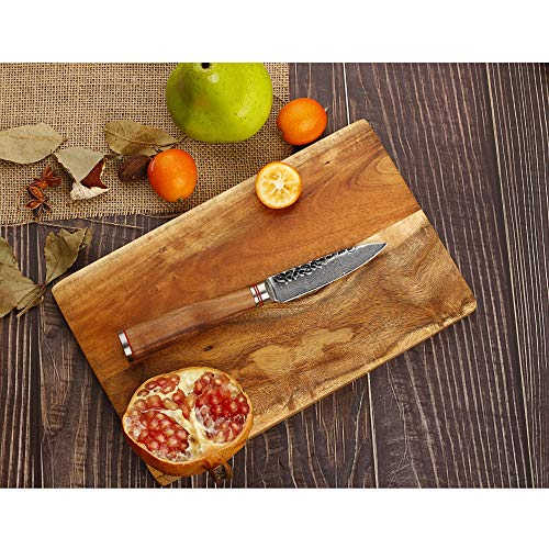 YOUSUNLONG Cuchillos para pelar Damasco Cuchillo para pelar 3.5 Pulgadas - VG10 japonés - Navaja de Acero Inoxidable de Alto Carbono - Mango de Madera de Nogal ergonómico