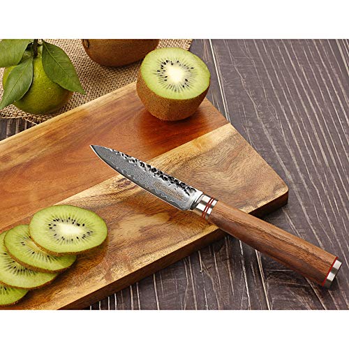 YOUSUNLONG Cuchillos para pelar Damasco Cuchillo para pelar 3.5 Pulgadas - VG10 japonés - Navaja de Acero Inoxidable de Alto Carbono - Mango de Madera de Nogal ergonómico