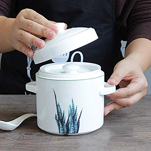 YWYW Barm Olla vaporera de cerámica con Tapa Doble, guiso de Sopa al Vapor Olla de Barro esmaltada Olla de Barro Tonic C 30oz (850ml)