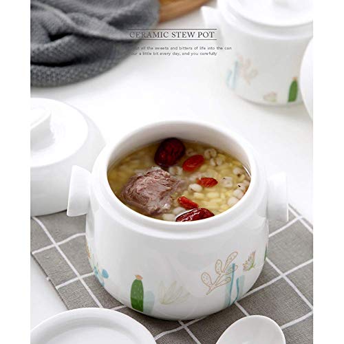 YWYW Olla vaporera de cerámica de Doble Tapa, estofado de Sopa al Vapor Cuenco esmaltado Olla de Terracota Olla Nido de pájaro Tónico Blanco 25.4 onzas (750 ml)