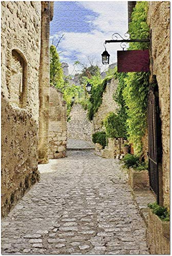 YYTOOF HD Antigua Calle de adoquines rústica en el Pueblo de Les Baux de Provence, en el Sur de Francia 9014933 (52*38 cm Premium 500 Piece Jigsaw Puzzle Made in USA!)