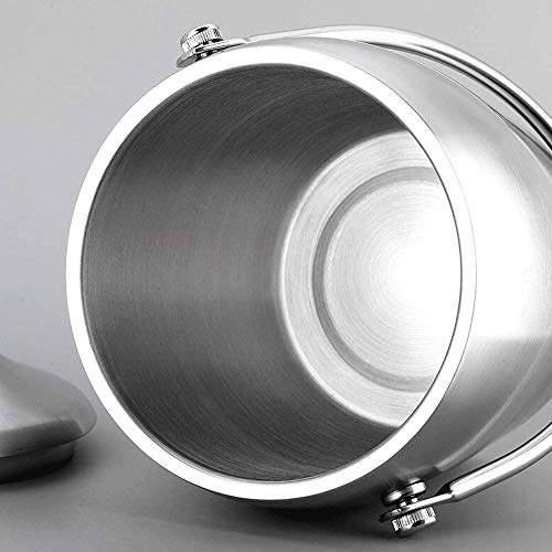 Z-Color Artículos for el hogar Frío Industrial Bebidas Cubo - Ampliación de la Vendimia del Estilo de Acero Partido más frío de hidromasaje - Asas Laterales - Plata (Size : 2L)