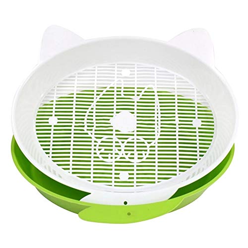 ZCY Abierto Cajas De Arena, Doble Capa Sencillo Cernido Gato Aseo, Sistema para Los Gatos (Color : Green)